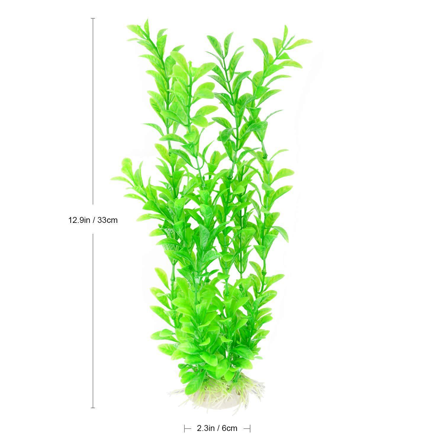 10 loài thủy sinh rong biển bắt chước thủy cung thích hợp cho cây nhựa