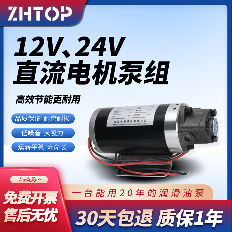 微小型抽油泵直流专用电机油泵齿轮泵机DC12V/24V 摆线泵厂家直销