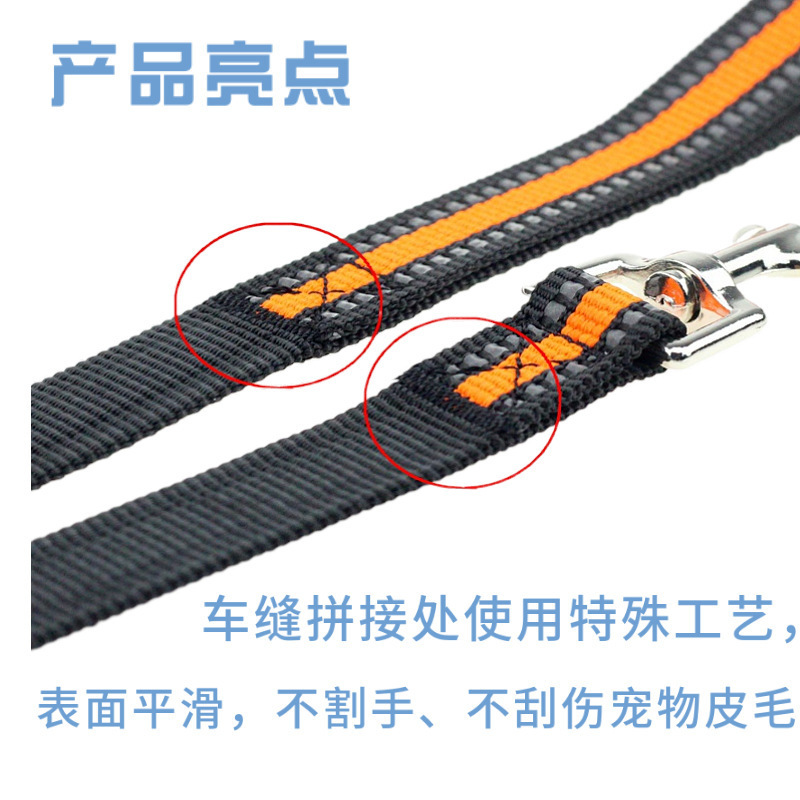 Một con chó Amazon mới kéo dây thừng, một sợi dây thừng to phản ánh con chó, và con chó đi bộ.
