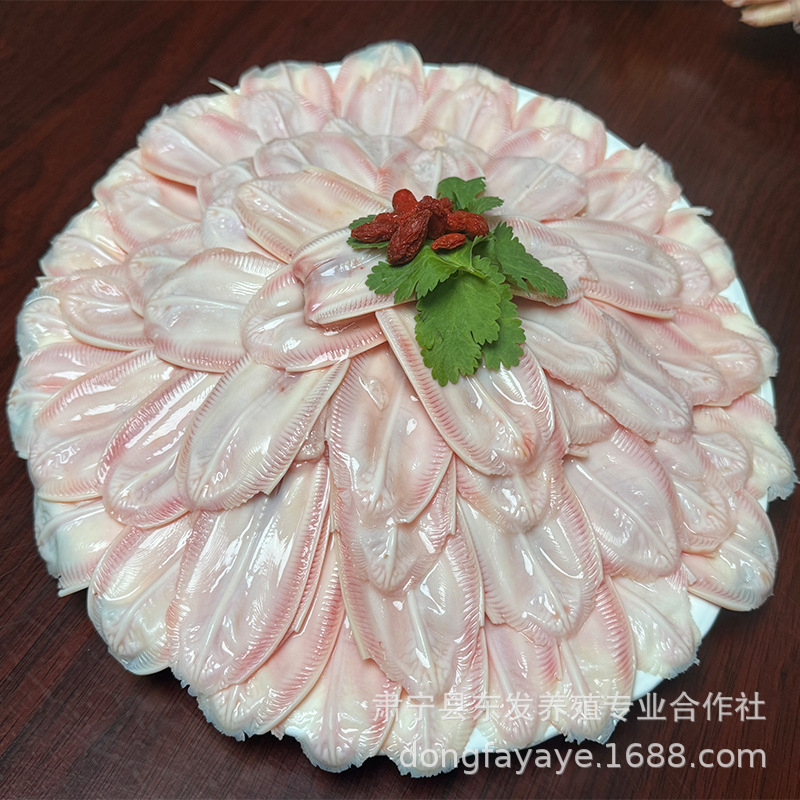 Hot-pot 할로겐 브로콜리에 사용되는 East Farming Company의 공룡.