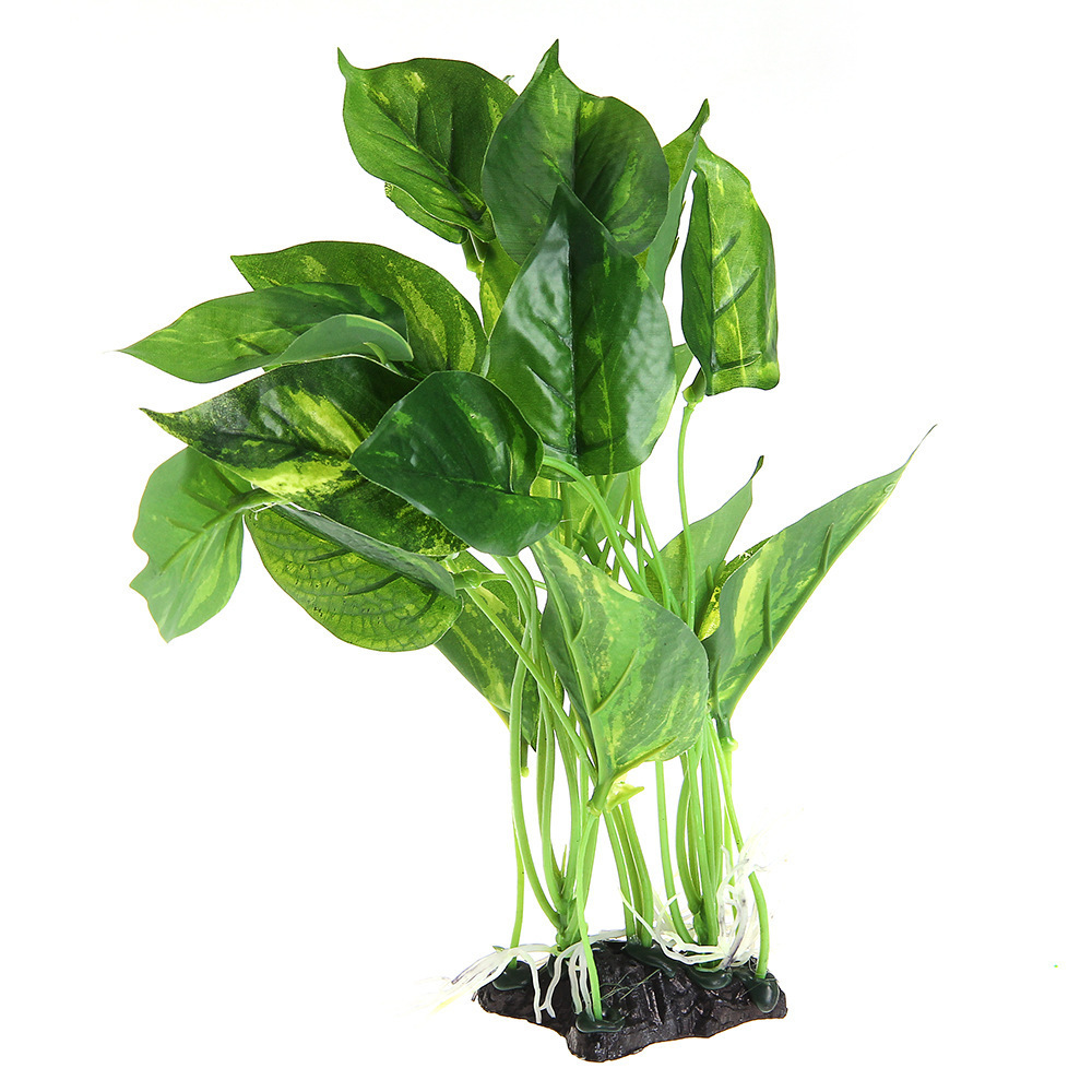 Các nhà máy sản xuất mô phỏng các cây cỏ và những hồ cá phun nước để thưởng cho loài rùa thực vật với dung dịch nước.