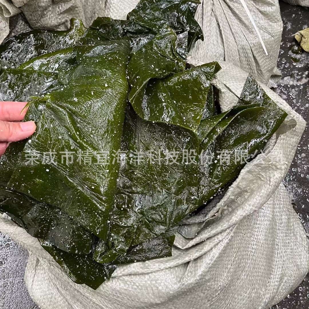 Cung cấp những thùng muối nguyên chất, nửa khô của Quimbutan trong túi 5kg