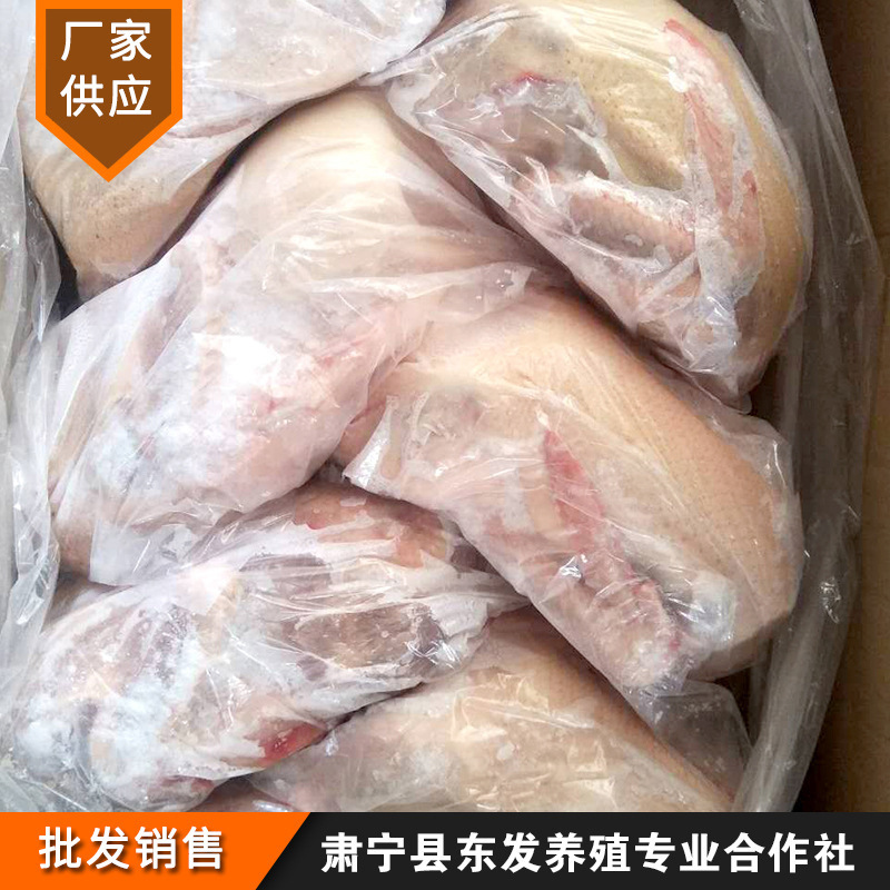 Có rất nhiều những con vịt già lạnh lẽo và tươi mới ở trang trại phía Đông.