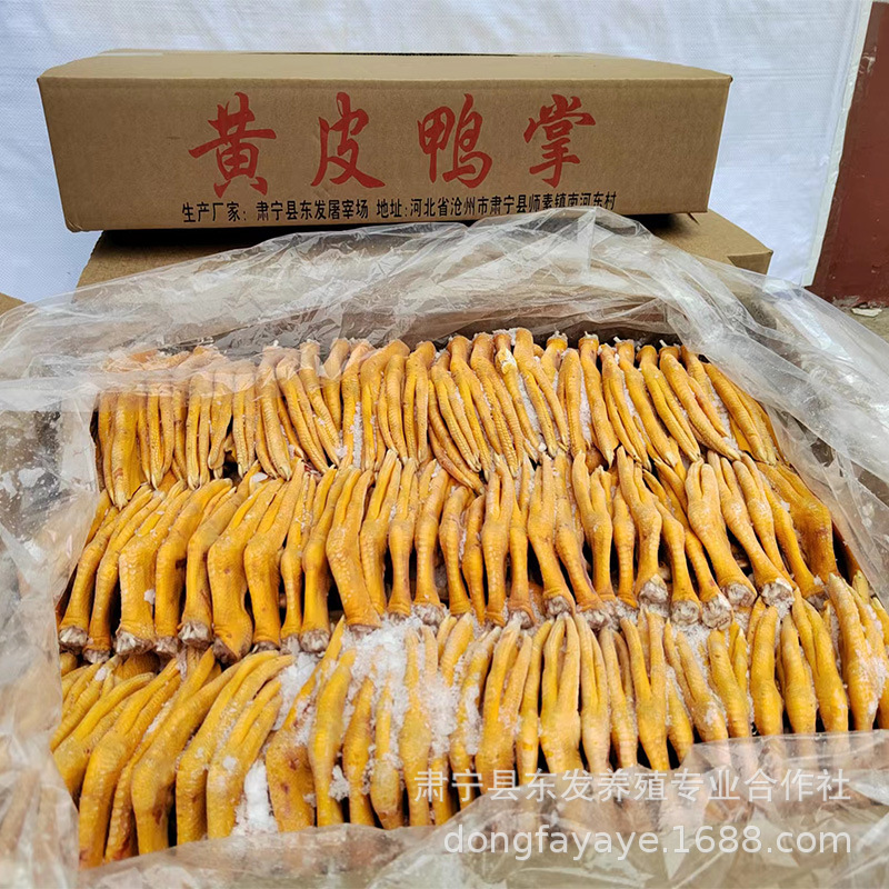 Cả đàn vịt đông lạnh, móng vịt vàng tươi, rất tốt.