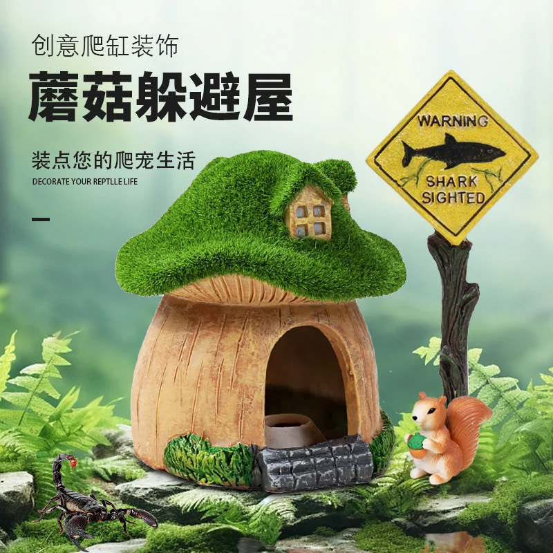 Bò ra xa khỏi nhà những hồ chứa nhựa để quan sát cái hộp và trang trí nấm từ rêu nhà.