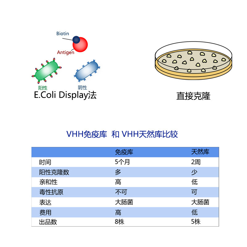 Ida Biotech, Phòng dịch vụ kỹ thuật.