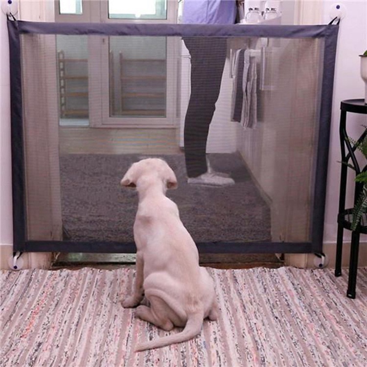 Những con chó ma thuật biệt lập mạng lưới với hàng rào vật nuôi gấp lại