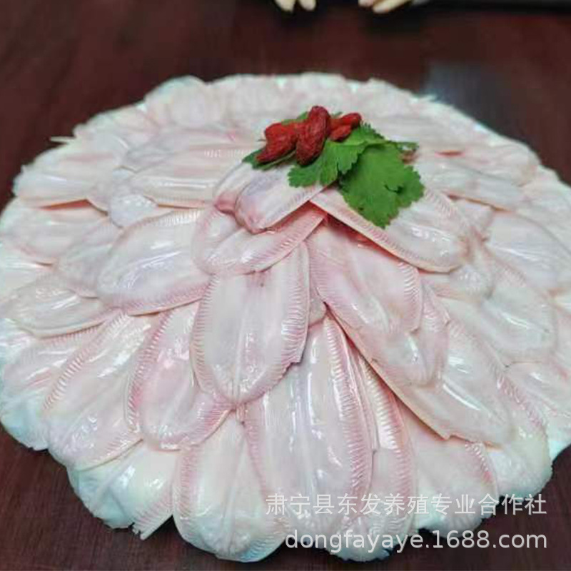 동쪽 농장 식물에 신선한 찬 오리 낙원.