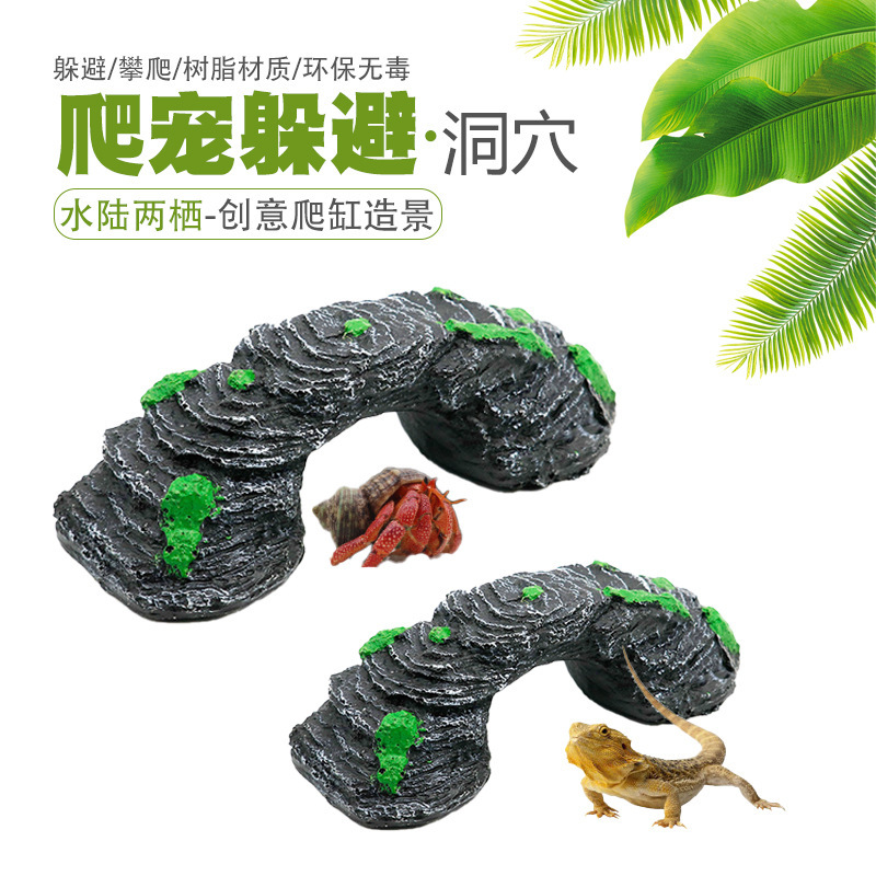 Leo lên bể nuôi để trốn khỏi nhựa, khỏi rùa, từ hang động và hang động.