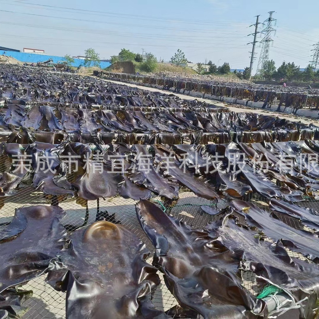 Nguyên một cây cho đến cây khô và không có cát.