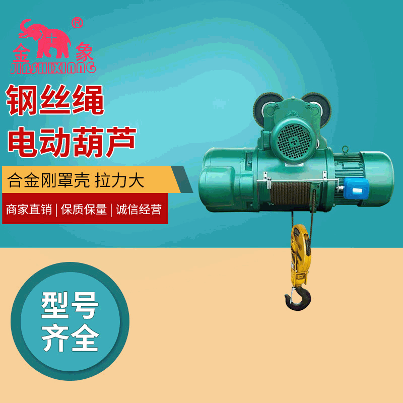 Cần cẩu nhỏ 1/0,5 tấn con lăn cần cẩu nhỏ 220V thallium vi điện