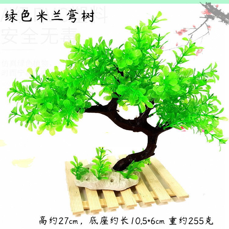 Thủy cung giống như thủy cung.