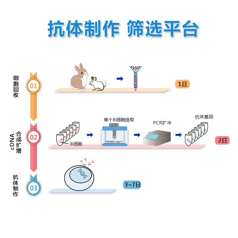 Hệ thống kháng chiến sinh học Idas là một nền tảng cho sự kháng cự chuyên nghiệp được chuẩn bị và kiểm tra dịch vụ.