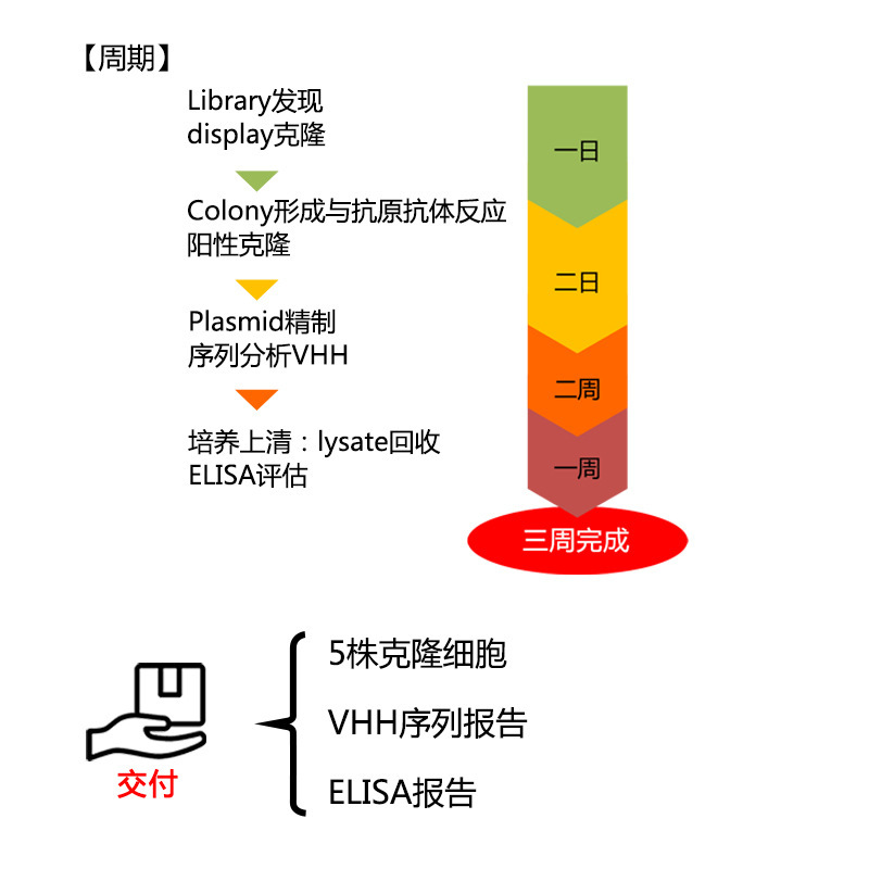 Ida Biotech, Phòng dịch vụ kỹ thuật.