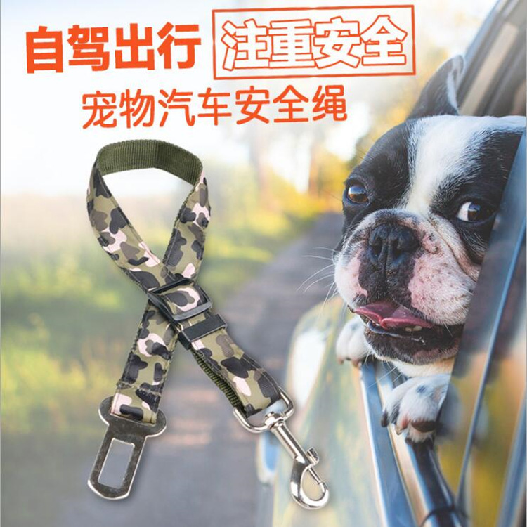 Thú cưng mới, báo, dây an toàn xe hơi, dây thừng xổ số, vật dụng thương mại nước ngoài.