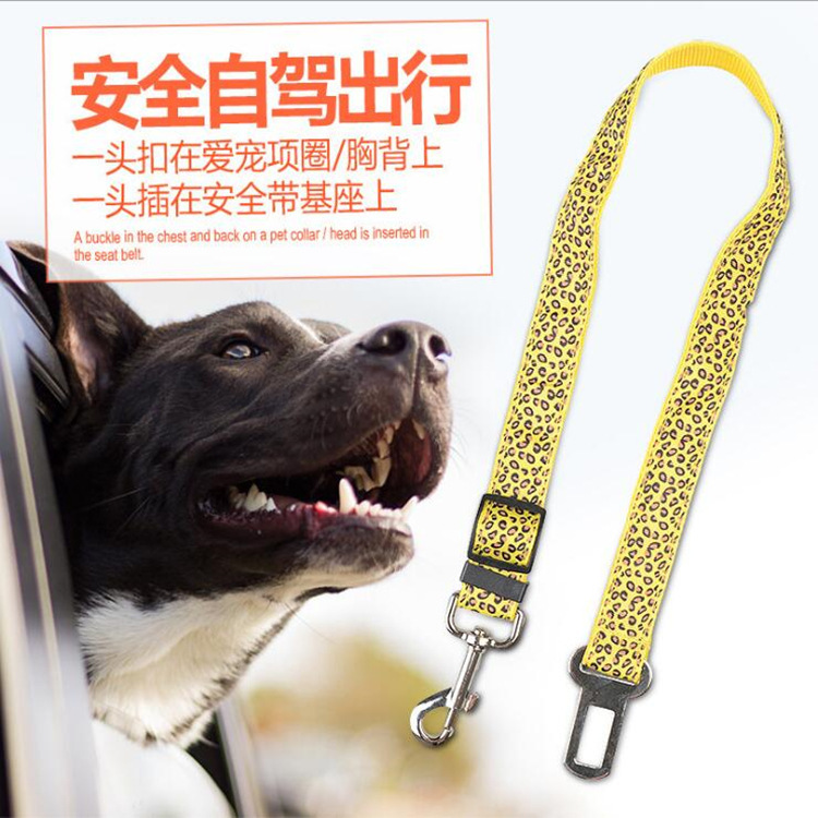 Thú cưng mới, báo, dây an toàn xe hơi, dây thừng xổ số, vật dụng thương mại nước ngoài.