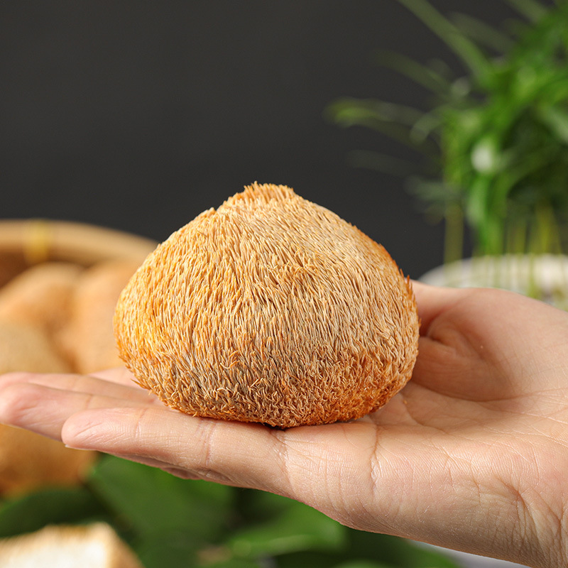 Không có thức ăn mới.