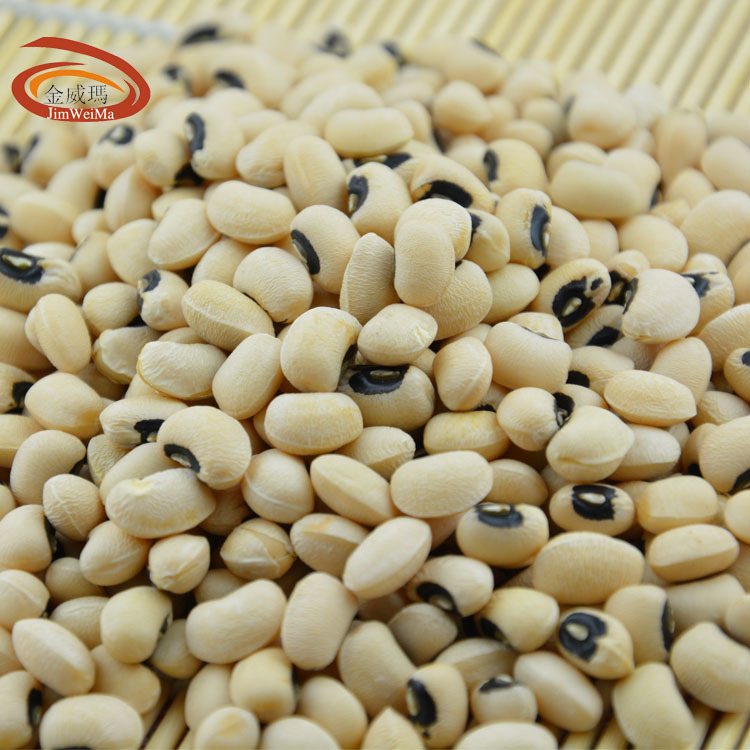 KIM Weimar's black-eyed soybeans, Myanmar's rice soybeans.