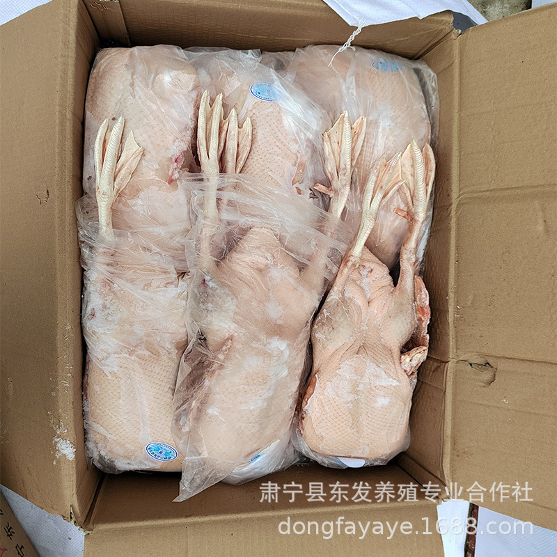 East Hair Factory의 도매 로스트 오리 광동 이상.
