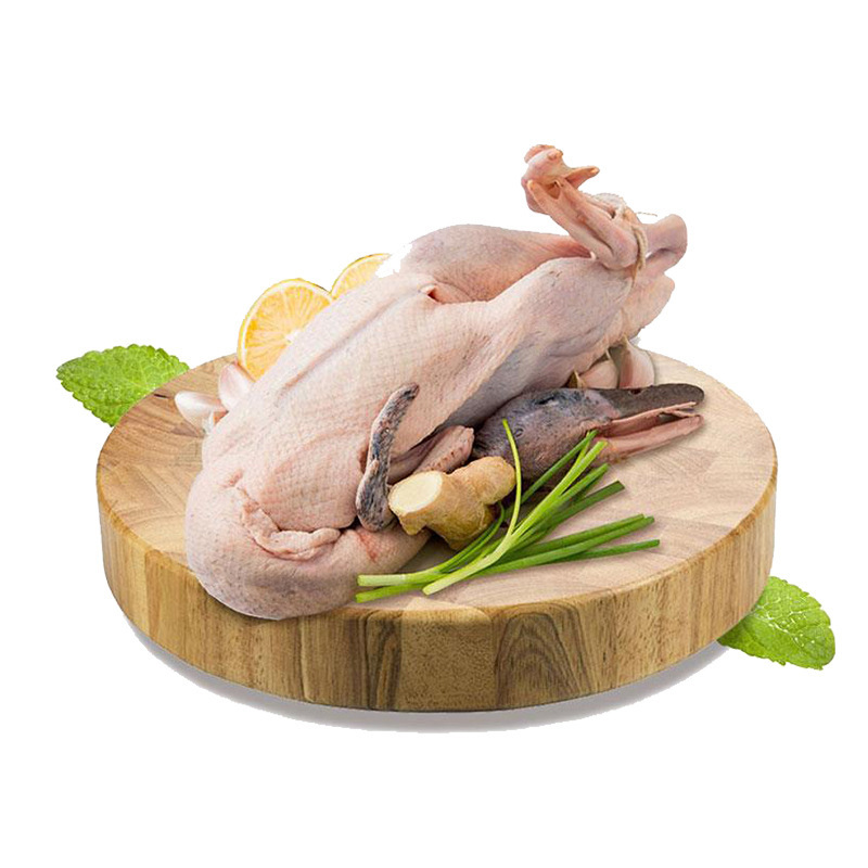 Chim ưng mọc ở phía đông Khách sạn dùng vịt già để đỡ lưng.