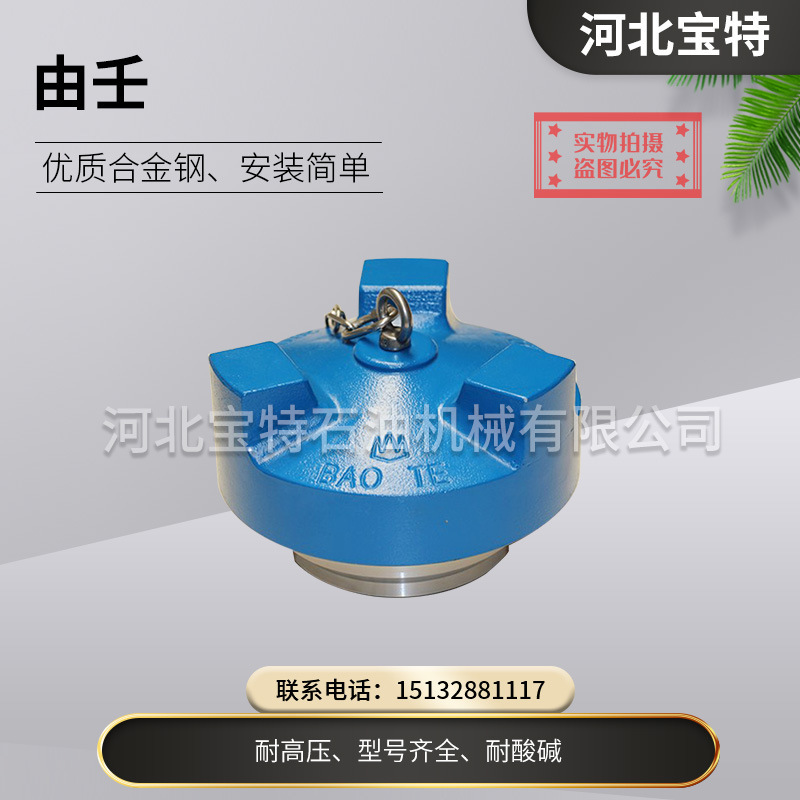 专业生产销售FIG100系列油壬  螺纹连接 焊接   A105 耐低温油壬