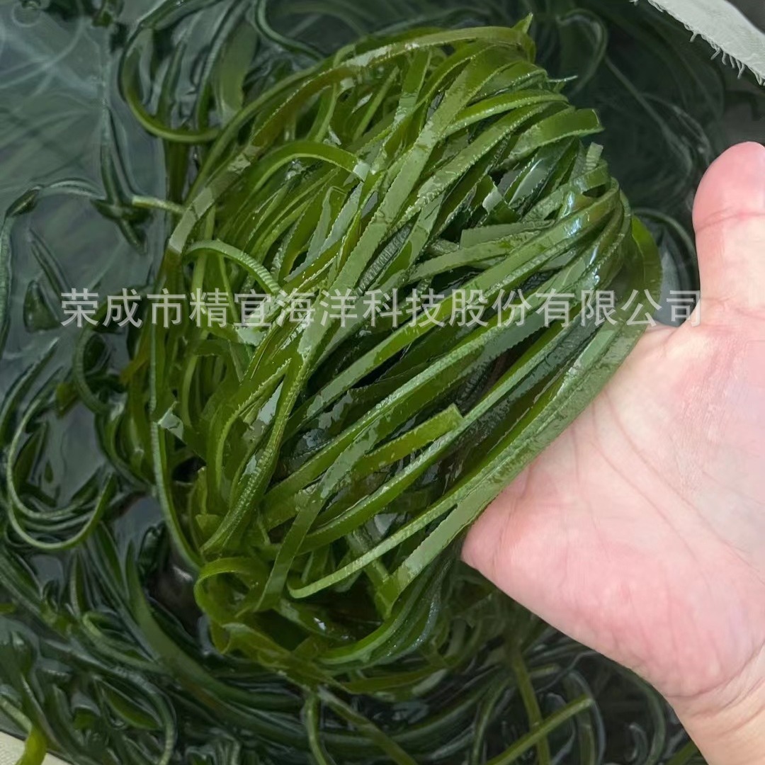 Bánh quy hải sản giàu muối, hải sản tươi, hải sản không cần khô, bánh bao.