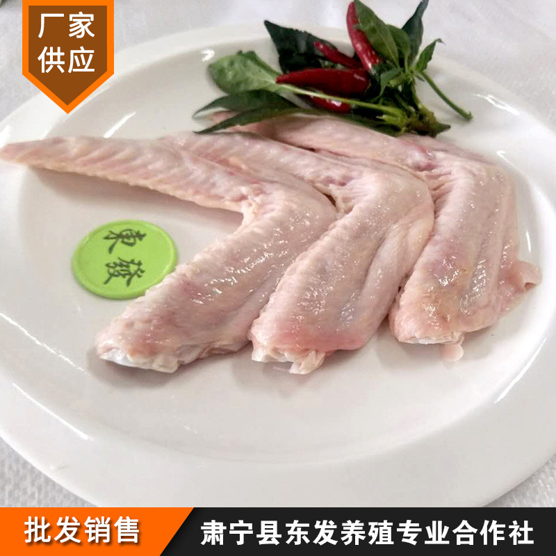 Thức ăn nhà máy được trộn lẫn, cánh vịt tươi và đông lạnh.