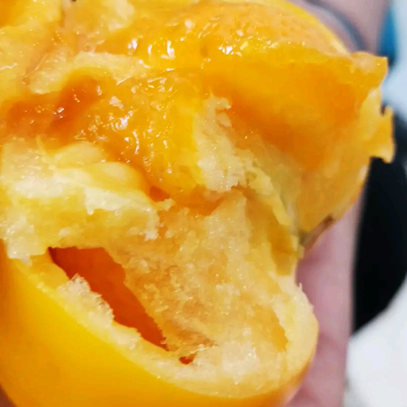 黄番茄种子番茄籽大果西红柿种子蔬菜种子批发种子公司菜种菜籽