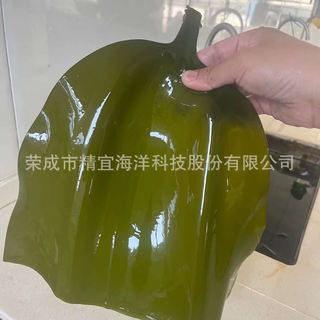 Biển mặn dẫn tới những dải tơ biển chất lượng cao và chất lượng cao với rễ cây ở trong Qumbs.