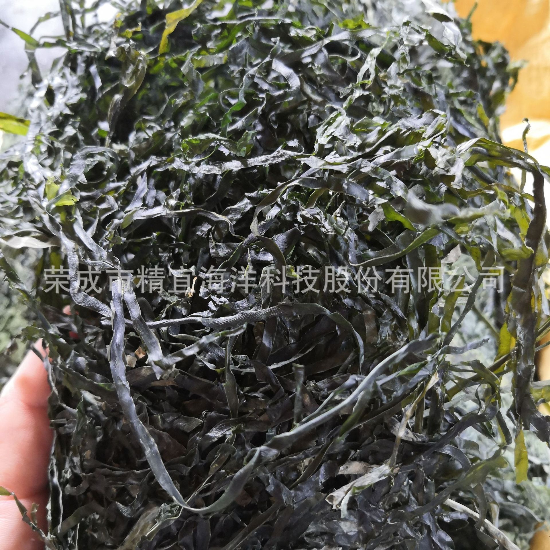 rong biển khô và rong biển khô và lụa.