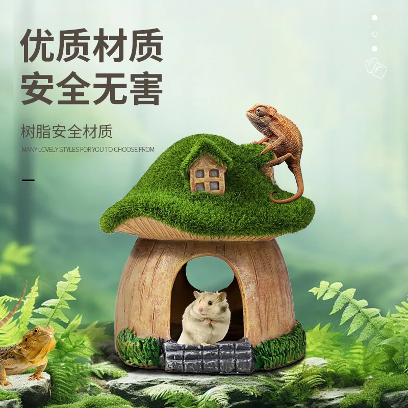 Bò ra xa khỏi nhà những hồ chứa nhựa để quan sát cái hộp và trang trí nấm từ rêu nhà.