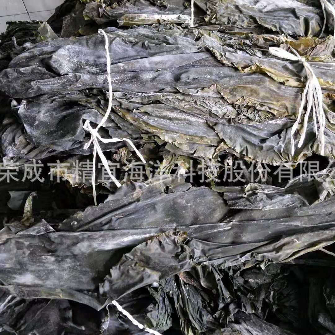 Nguyên một cây cho đến cây khô và không có cát.