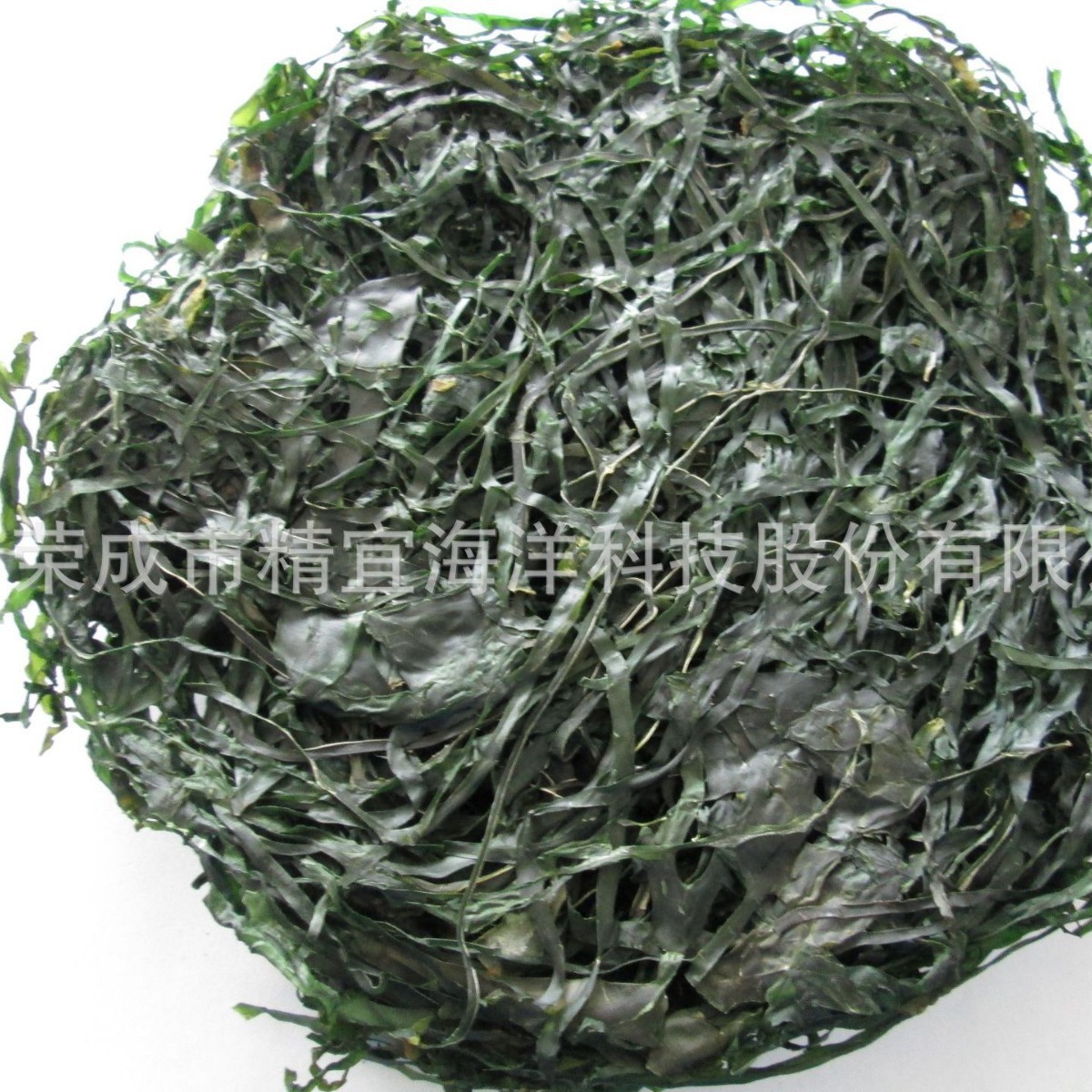 rong biển khô và rong biển khô và không cát.