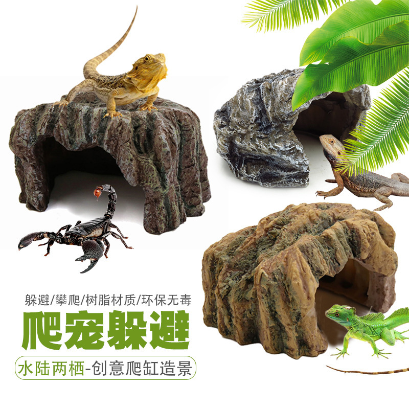 ♪ Cung điện bò trốn khỏi hang động và rùa