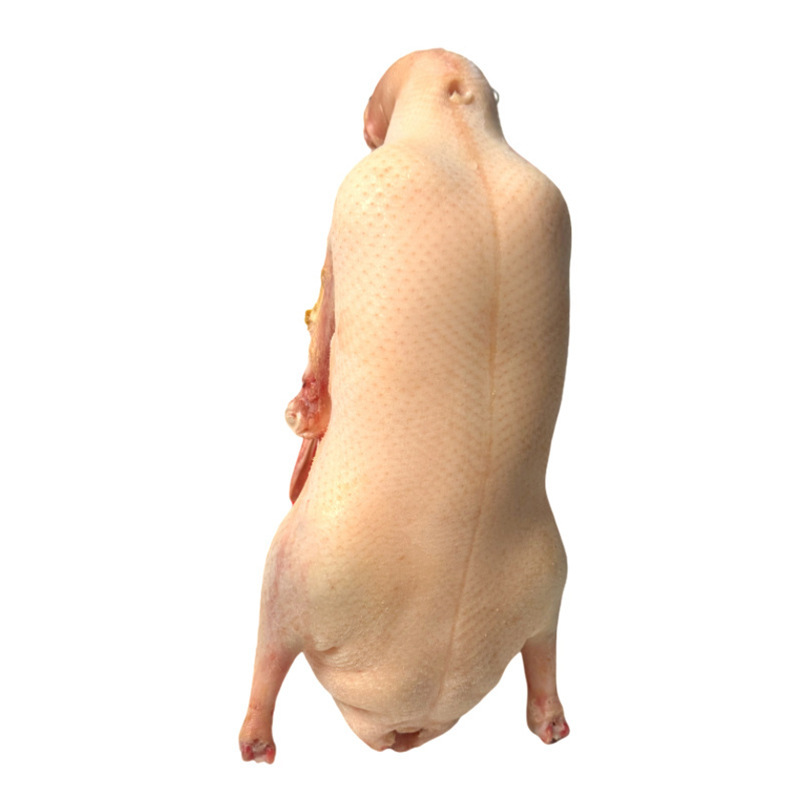 ตัวอ่อนตัวอ่อนของเชอร์รี่ เป็ดย่าง เนื้อย่างเป็ดย่าง