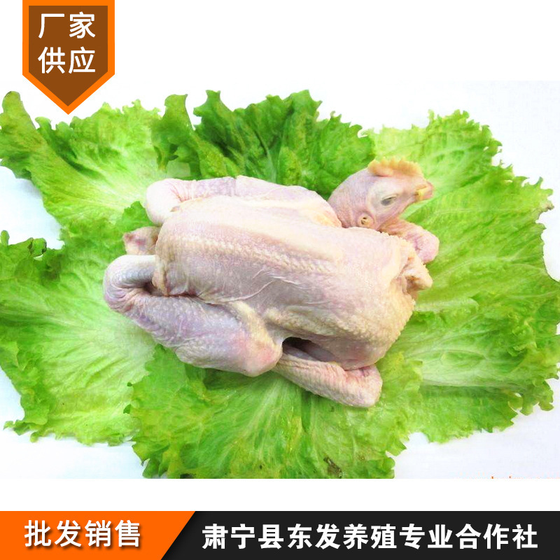 Một con gà mái già, một con gà đông lạnh, một con gà đông lạnh, một con gà đông lạnh, một con gà sạch sẽ.