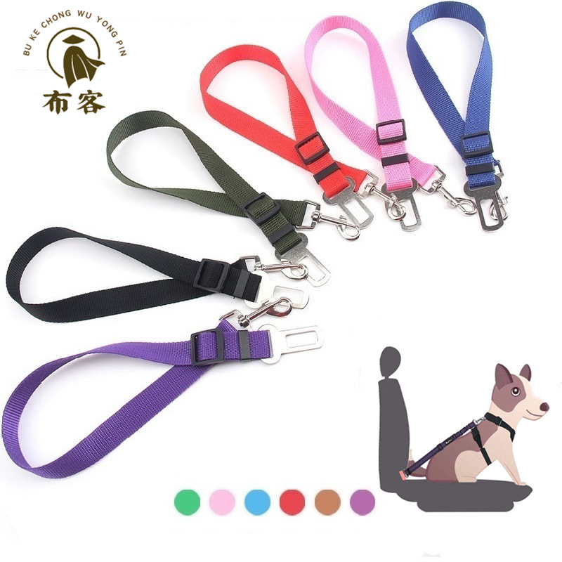 Chiếc xe chở chó chạy bằng dây xích.