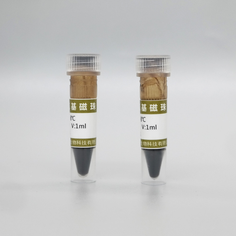 Sự sống của Ida, nam châm epoxy, upoxy từ nanoparticles, tách protein ra.