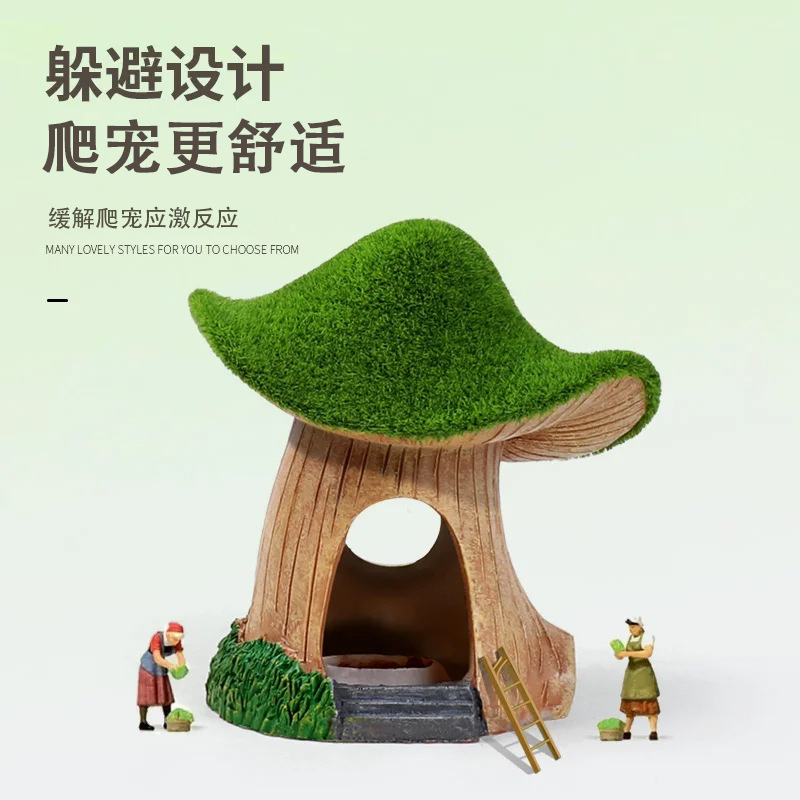 Bò ra xa khỏi nhà những hồ chứa nhựa để quan sát cái hộp và trang trí nấm từ rêu nhà.