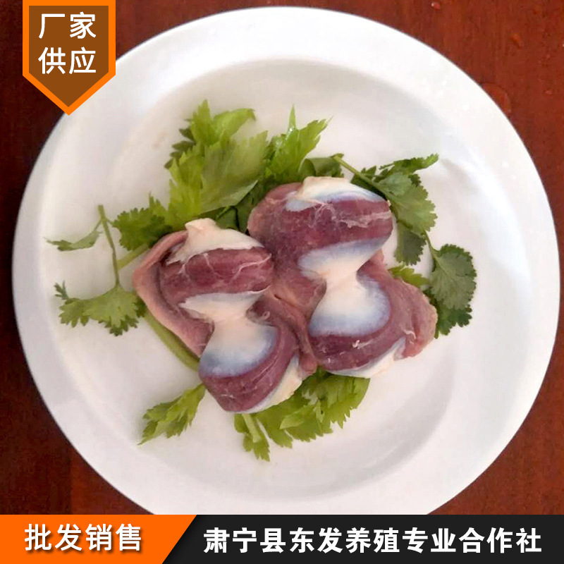 냉동, 신선한 오리, 구운 할로겐, 신선한 오리의 도매.