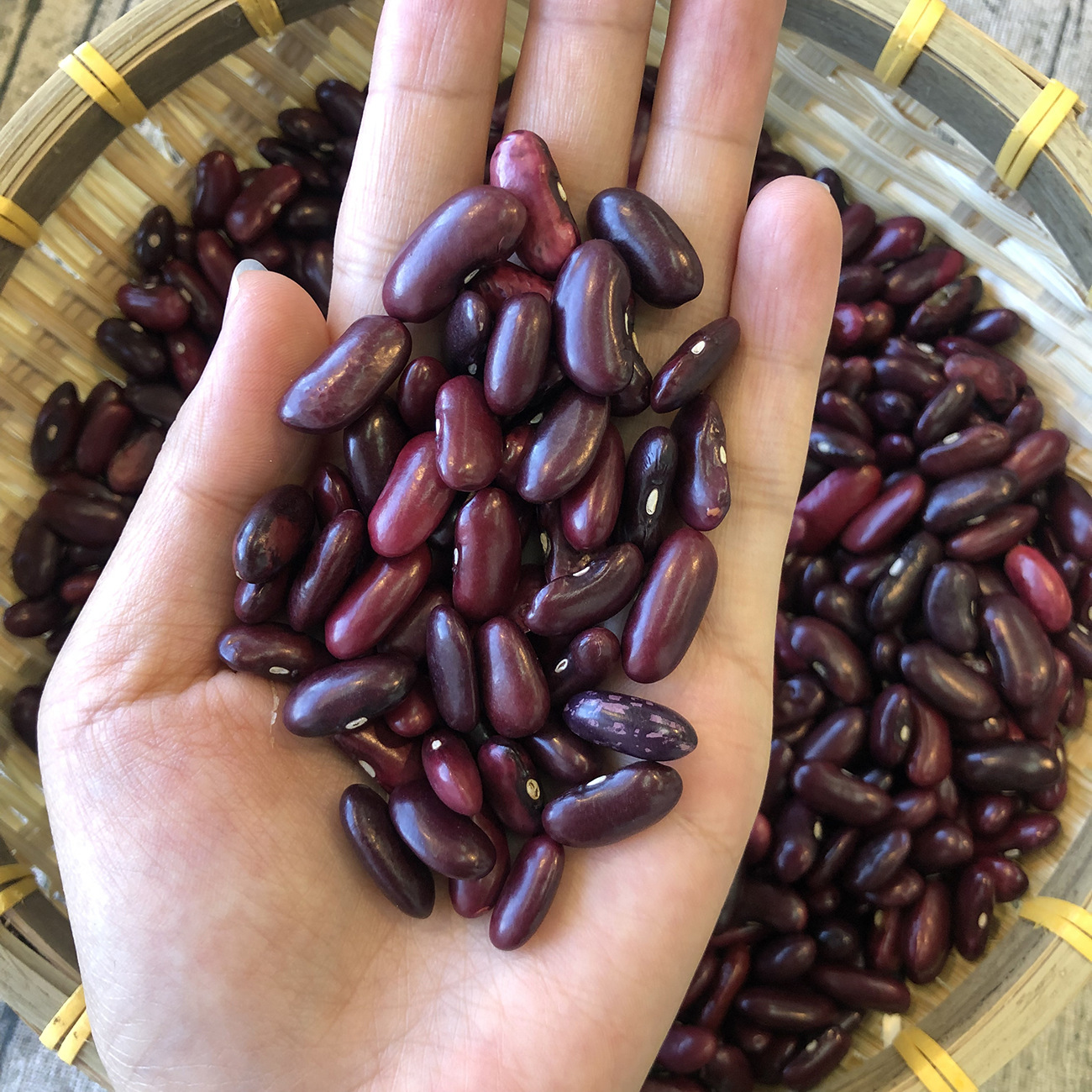 雲南本地紅腰豆散裝大貨批發50斤/袋五穀雜糧農家新貨紅腰豆