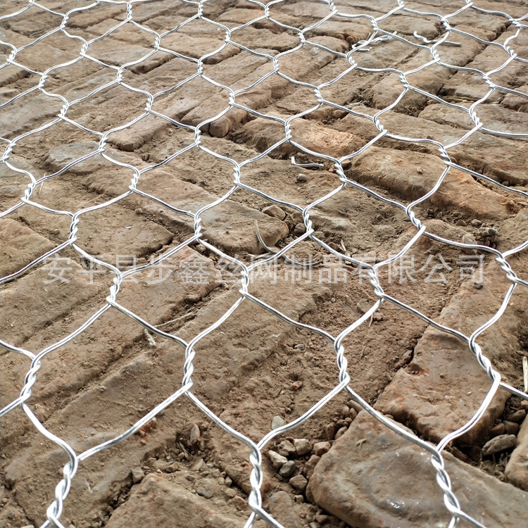 The plant's current distribution, the eco-scrawl grid, the riverine-painted zinc glycerine network, the Renault-painted rock cage network.