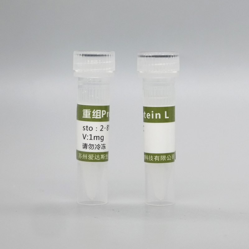 Công nghệ sinh học Idas kết hợp với Pteinl Recombinant để nghiên cứu khoa học