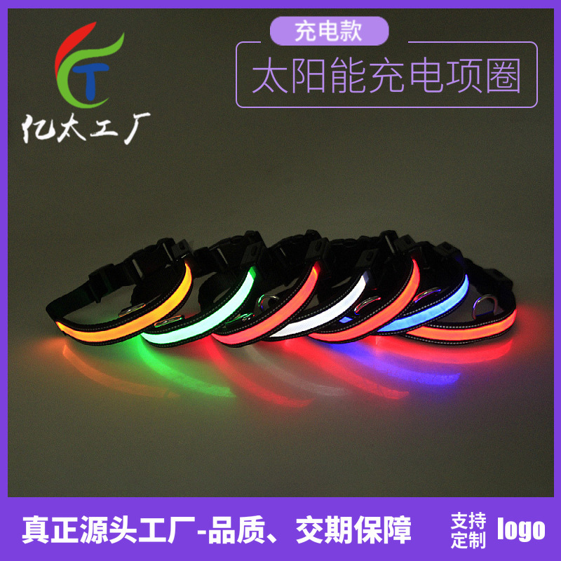 Điện tâm đồ 2 phân tử của vòng cổ USB của chó đèn LED.