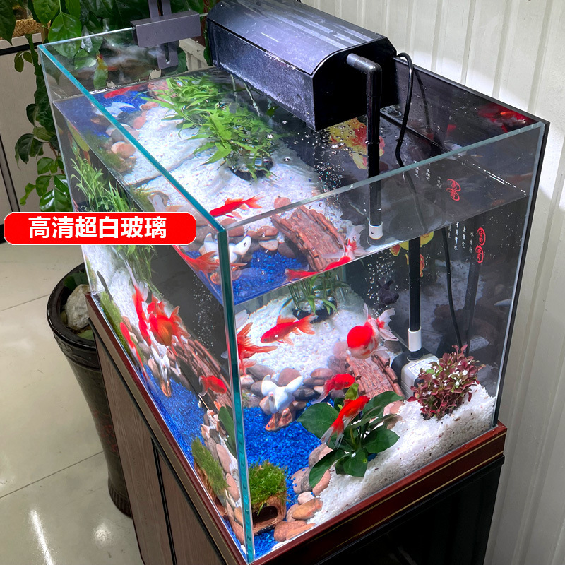Một bể cá nhà với một cái bể cá trắng cực trắng mới khỏa thân với một bể chứa cỏ dày gia đình thủy cung đặc biệt nhỏ