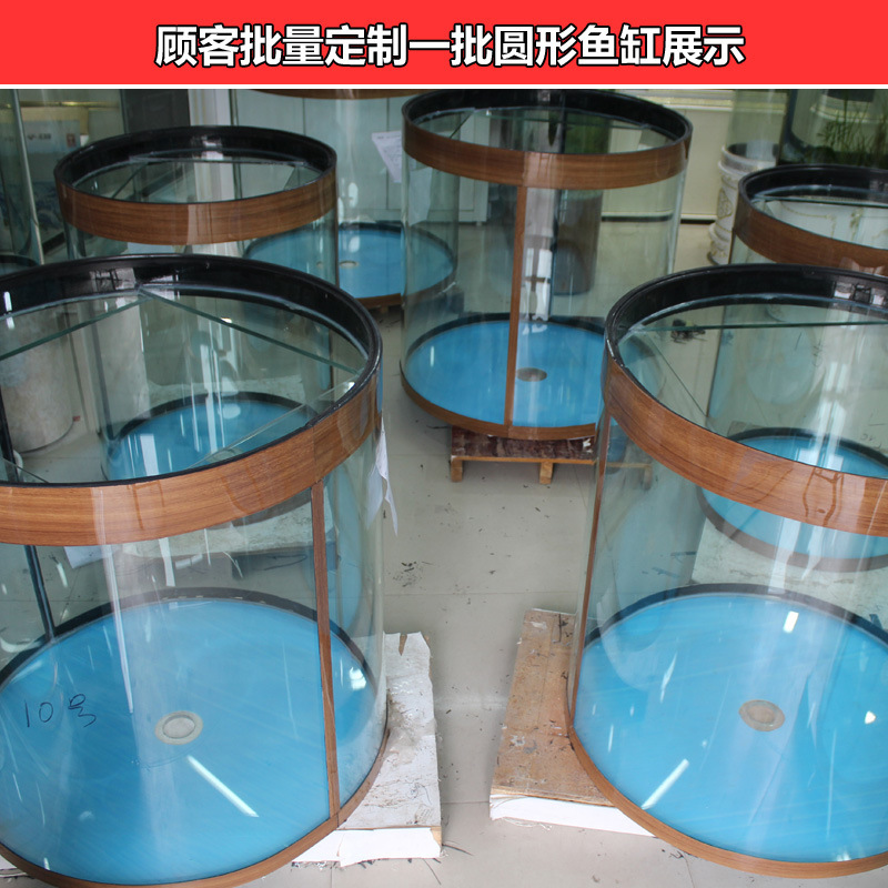 Hồ Bắc Cực lớn 1 mét dưới đáy trong hệ sinh thái thủy tinh của bồn nước trong phòng khách của bể cá hình trụ