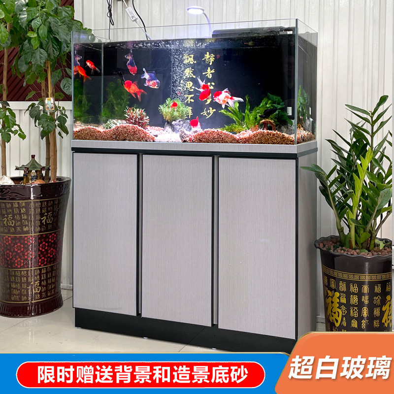 Một bể cá nhà với một cái bể cá trắng cực trắng mới khỏa thân với một bể chứa cỏ dày gia đình thủy cung đặc biệt nhỏ