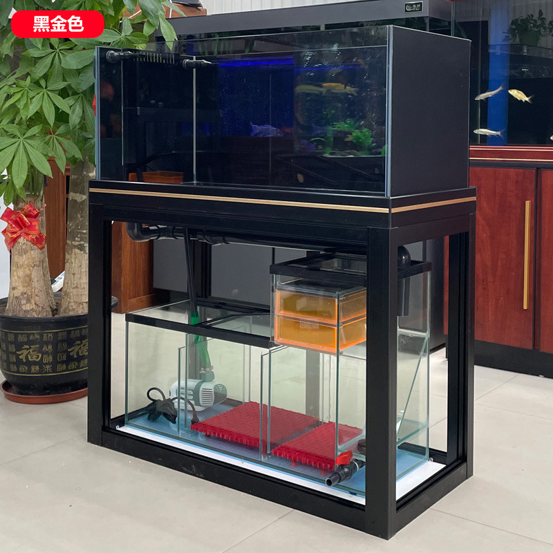 Nhà hồ cá Ransou phân phối một đống thủy cung lười biếng với bộ lọc mới.