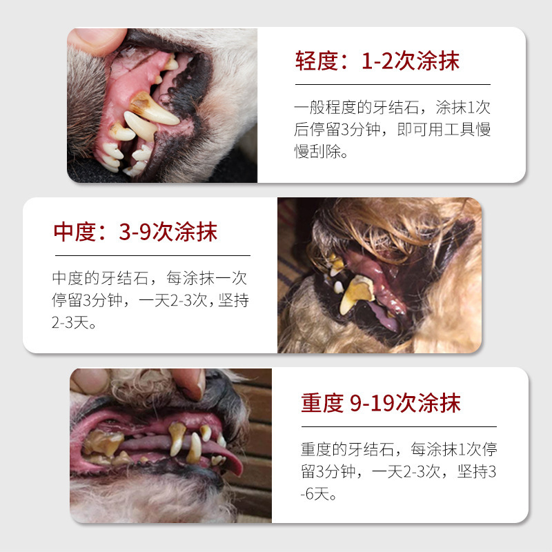 KOJIMA pet-cleaning tooth pen + beautiful tooth pen