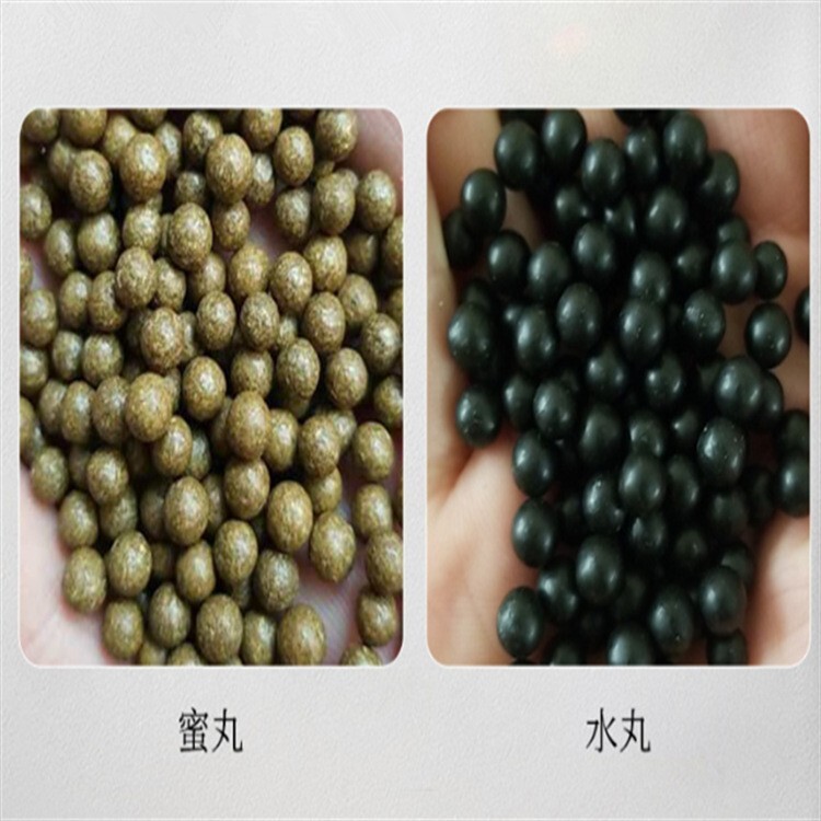 Những con hàu già đặc biệt gồm cả giới tính, nhiều loại, mật hoa và nhỏ.